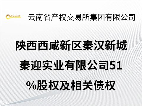 陕西西咸新区秦汉新城秦迎实业有限公司51%股权及相关债权