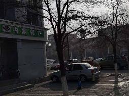 包钢设计院恒基底店5号招租（年租金底价：42400元 ，租期：1年）（包钢集团设计研究院）(国资监测编号GR2026NM1004524)