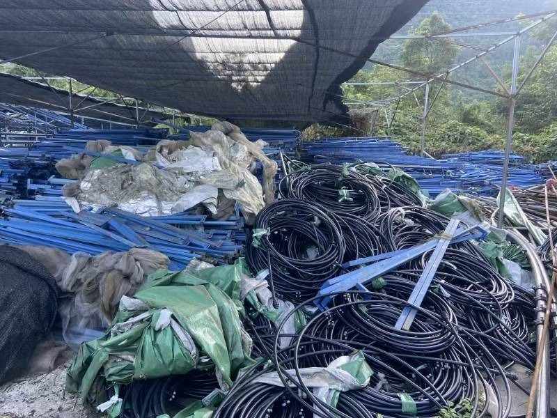 河池市巴马瑶族自治县所略乡尚勤村龙凤安置点食用菌基地地上附着物转让项目