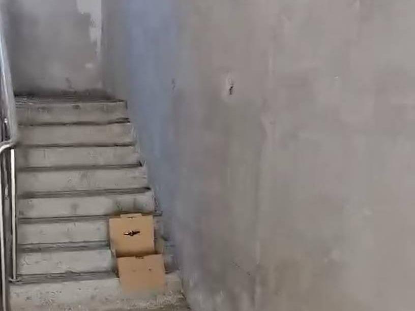 巴彦淖尔市磴口县巴彦高勒镇朝霞路清真寺南河套大市场C4-0-103房产公开招租（年租金底价2500元（含税），租期3年）(国资监测编号GR2025NM1006661-4)