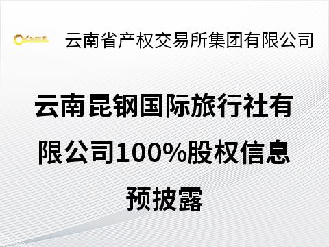 云南昆钢国际旅行社有限公司100%股权