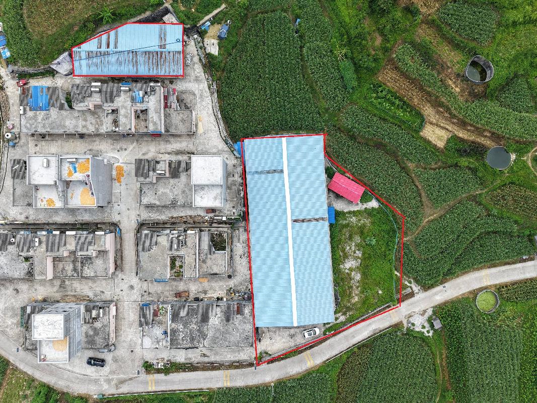 [河池市]河池市金城江区六圩镇龙谷村委会新村屯约1466平方米车间招租项目