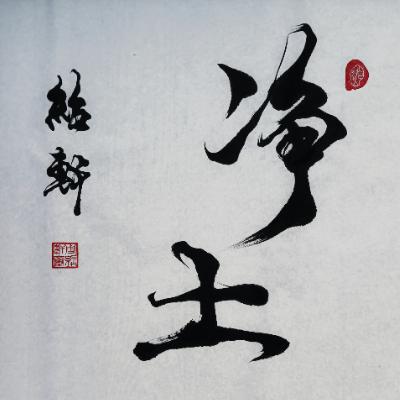 “净土”作品使用许可项目（普通许可）