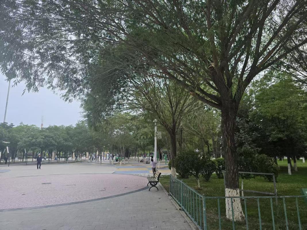 永昌电厂多种经营总公司一批房产、车库转让公告（第二次）