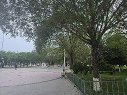 永昌电厂多种经营总公司一批房产、车库转让公告（第二次）