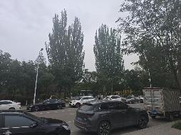 永昌电厂多种经营总公司一批房产、车库转让公告（第二次）