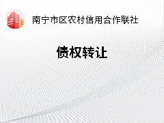 南宁市XX科技有限责任公司债权转让公告