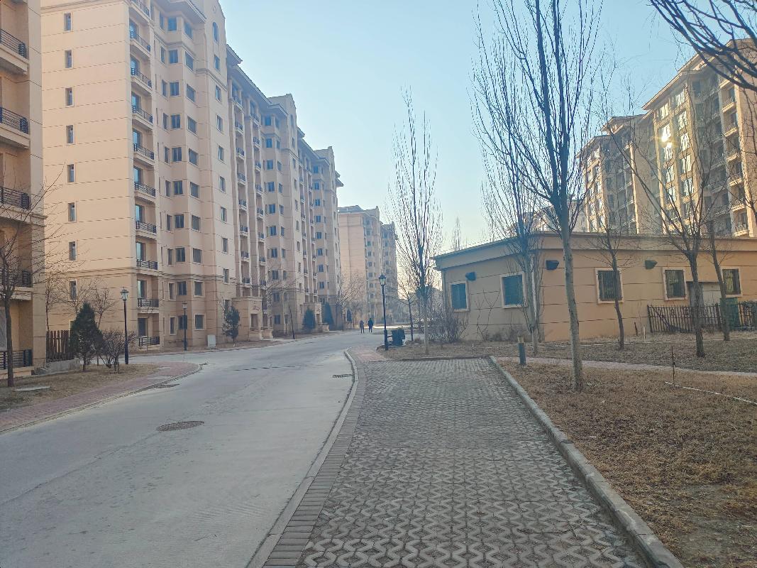 包头东河区南海鸿龙湾爱丽舍2-201转让（包头市滨河新区开发建设有限责任公司）(国资监测编号GR2025NM1006833)