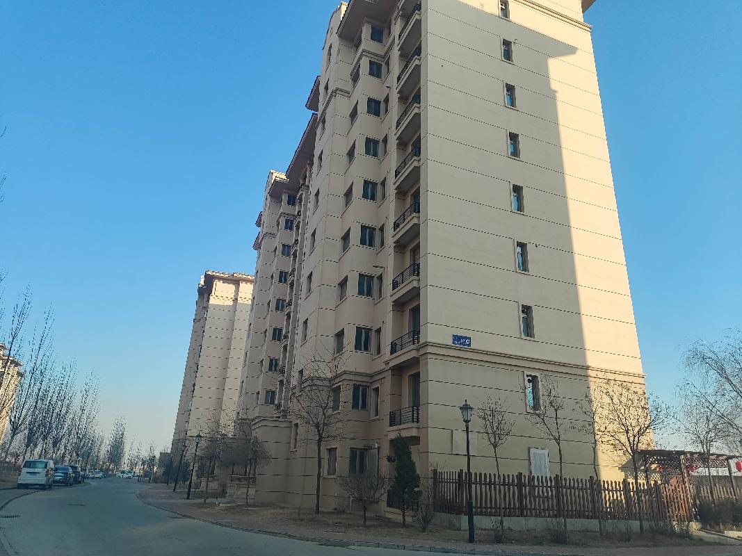 包头东河区南海鸿龙湾爱丽舍16-204转让（包头市滨河新区开发建设有限责任公司）(国资监测编号GR2025NM1006840)