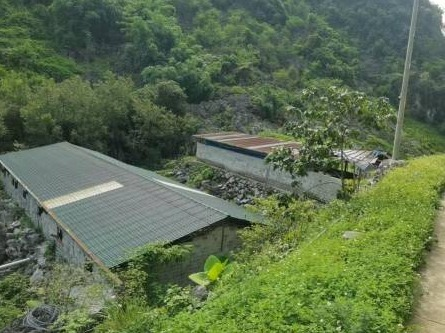 河池市大化瑶族自治县板升乡弄勇村弄岭屯500平方米养猪场招租项目