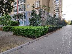 乌兰察布市集宁区新区怡锦苑2号楼2单元204住宅转让项目（乌兰察布泓浩资产管理有限责任公司）(国资监测编号GR2025NM1006828-2)