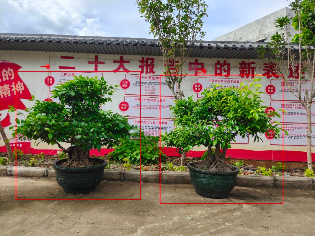 贵港市覃塘区覃塘街道龙岭村俩棵榕树盆景分别转让项目(三次挂牌)