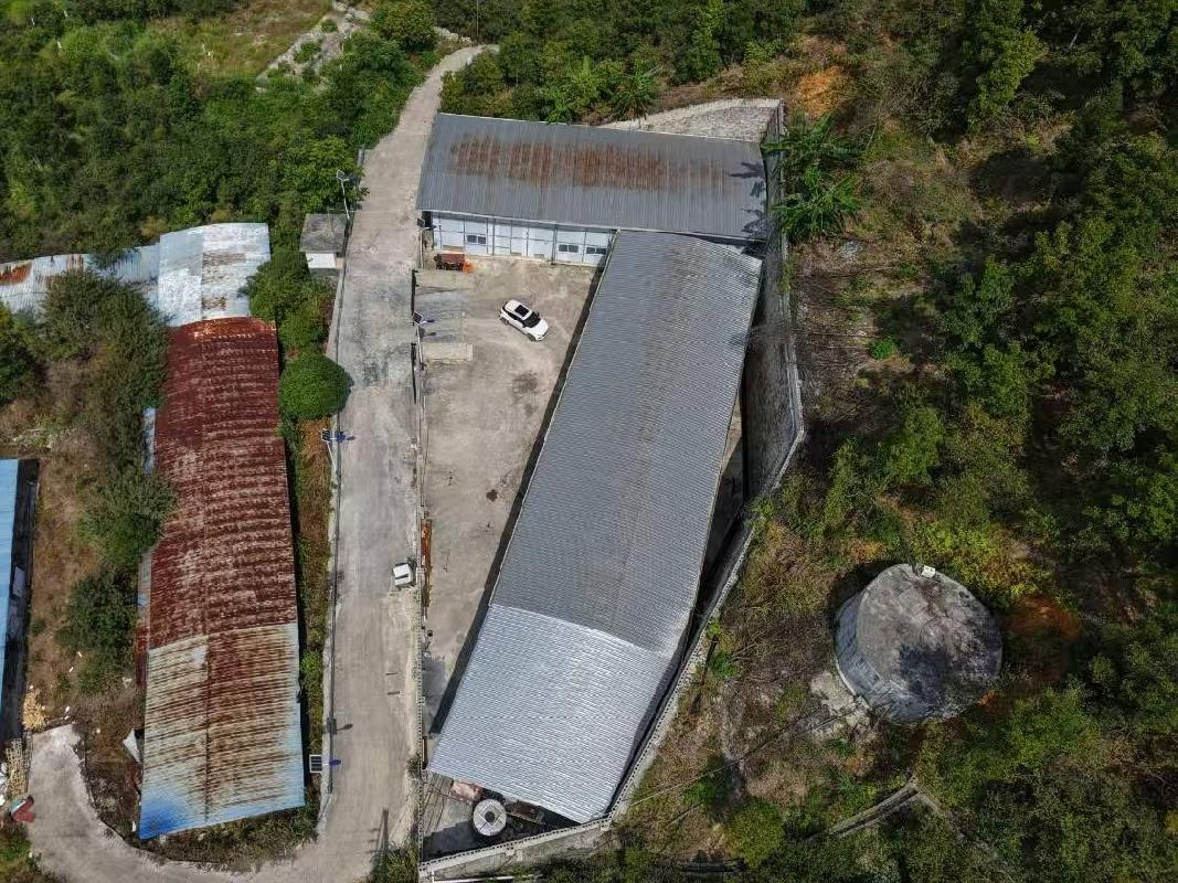 河池市凤山县长洲镇郎里村辣椒酱及山茶油加工场所招租项目