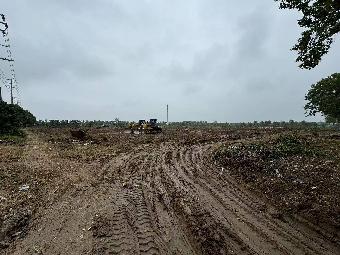 城东片区(造纸厂西侧)地块招租公告