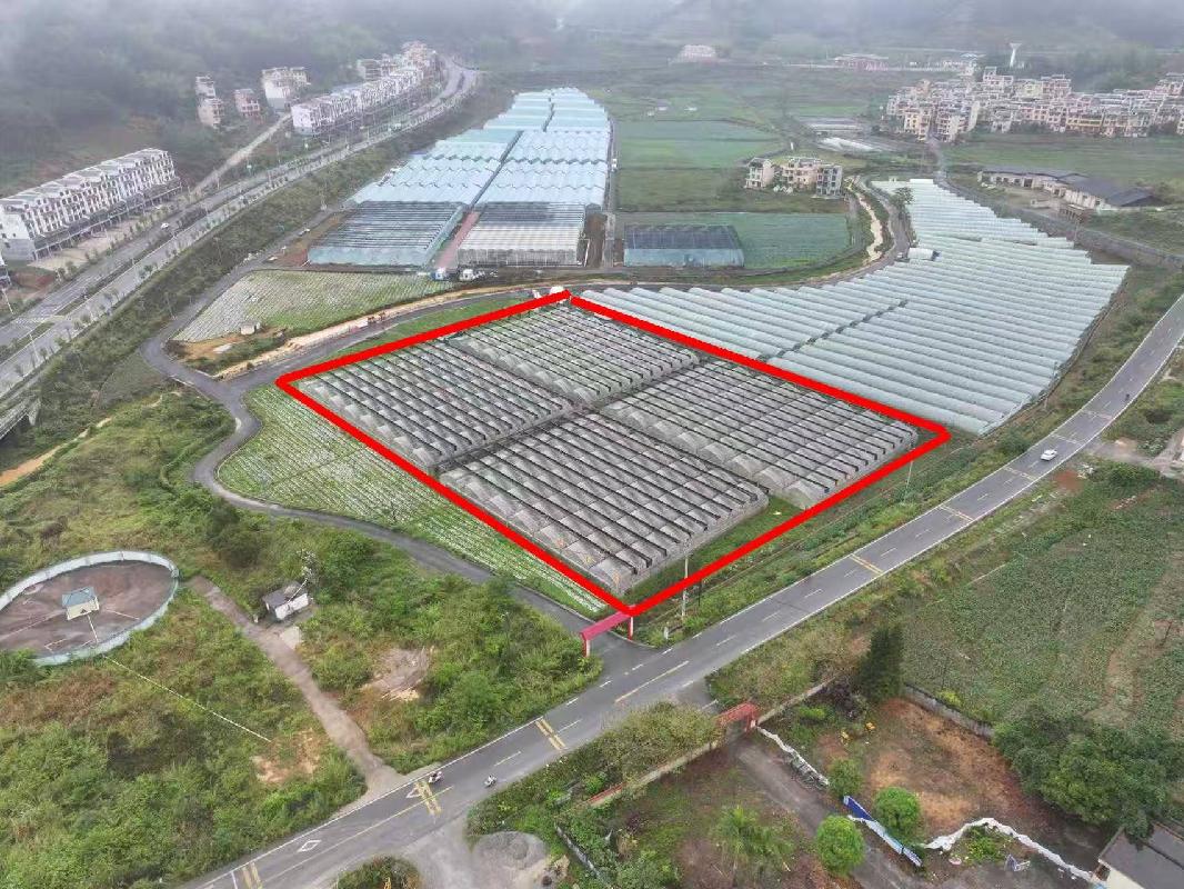 河池市巴马瑶族自治县那桃乡民安村现代智慧农庄经营权流转项目