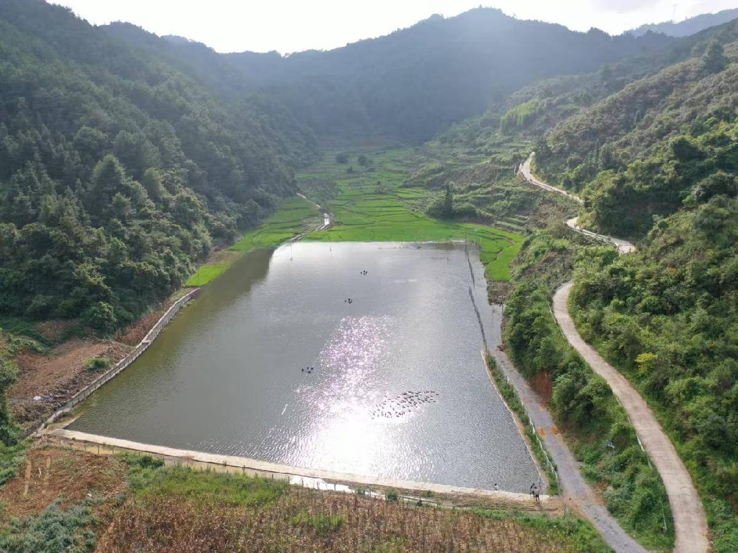 河池市巴马瑶族自治县燕洞镇同合村约11亩鱼塘经营权流转项目