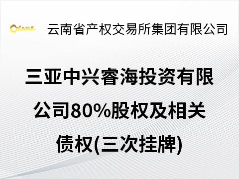 三亚中兴睿海投资有限公司80%股权及相关债权(三次挂牌)(国资监测编号G32025YN1000019-3)