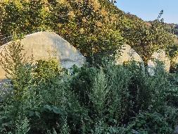 贺州市富川瑶族自治县福利镇浮田村江背自然村旁约4000平方米大棚流转项目