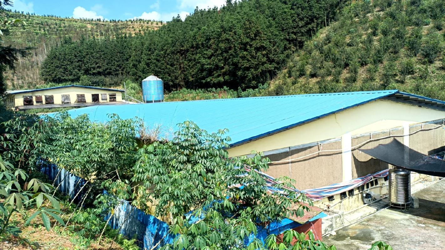 河池市巴马瑶族自治县那桃乡立德村新村屯约6660平方米生猪养殖基地招租项目