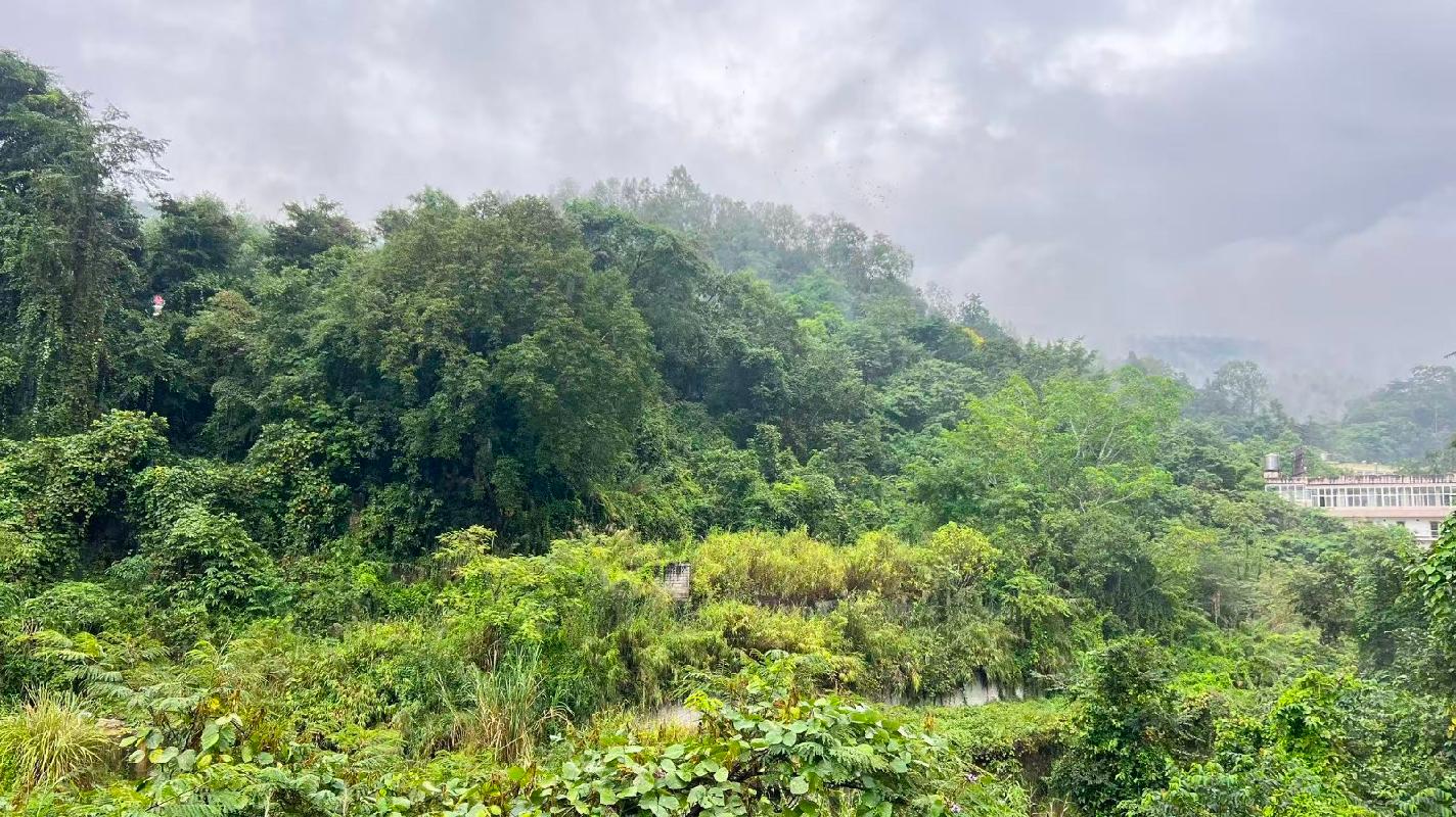龙陵县邦腊掌温泉度假区房产及空地租赁(三次挂牌)