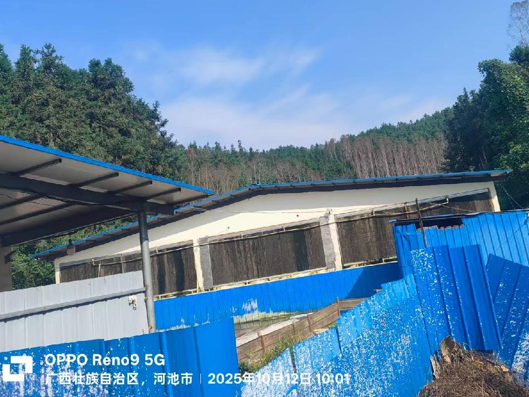 河池市巴马瑶族自治县那桃乡那敏村那兰屯约6350平方米生猪养殖基地招租项目