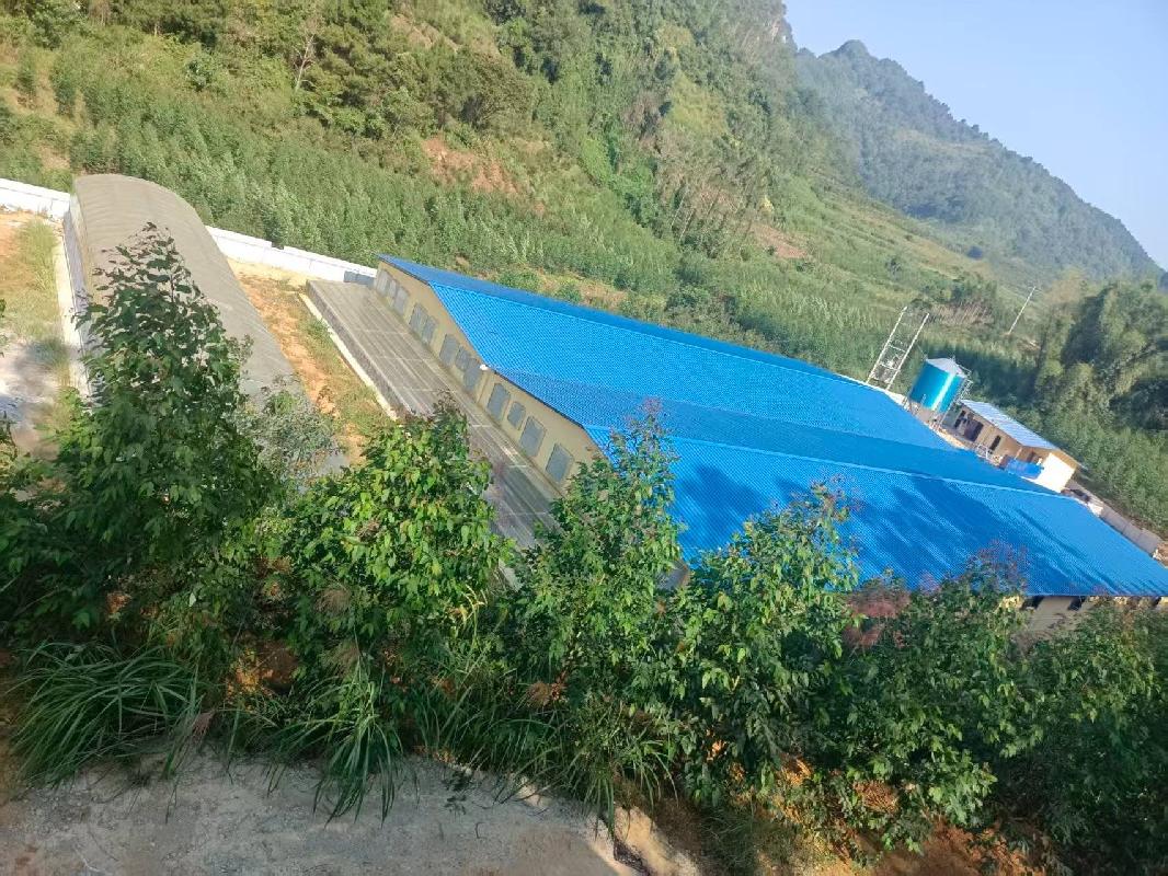河池市巴马瑶族自治县那桃乡坡良村六炉屯生猪养殖基地招租项目