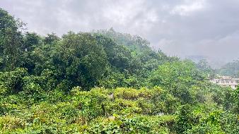 龙陵县邦腊掌温泉度假区房产及空地租赁(三次挂牌)