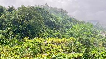 龙陵县邦腊掌温泉度假区房产及空地租赁(三次挂牌)