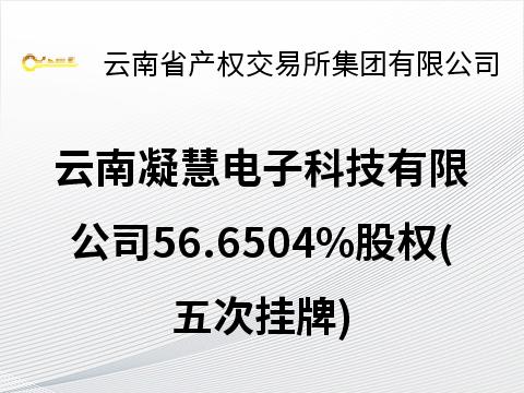 云南凝慧电子科技有限公司56.6504%股权(五次挂牌)