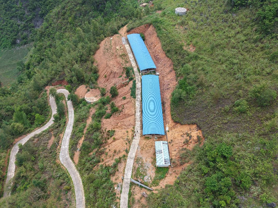 河池市东兰县大同乡弄彦村鱼塘坡约1100平方米养猪场招租项目招租项目