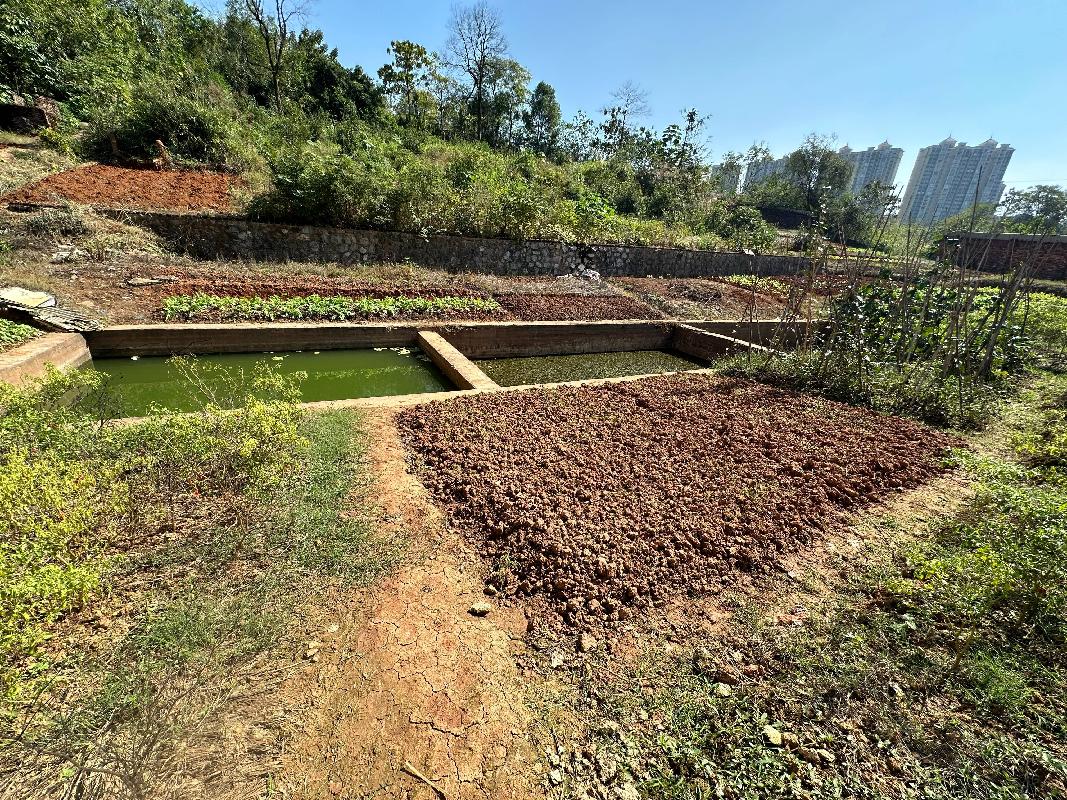 【中石化衡阳分公司】万寿油库闲置场地(四次挂牌)