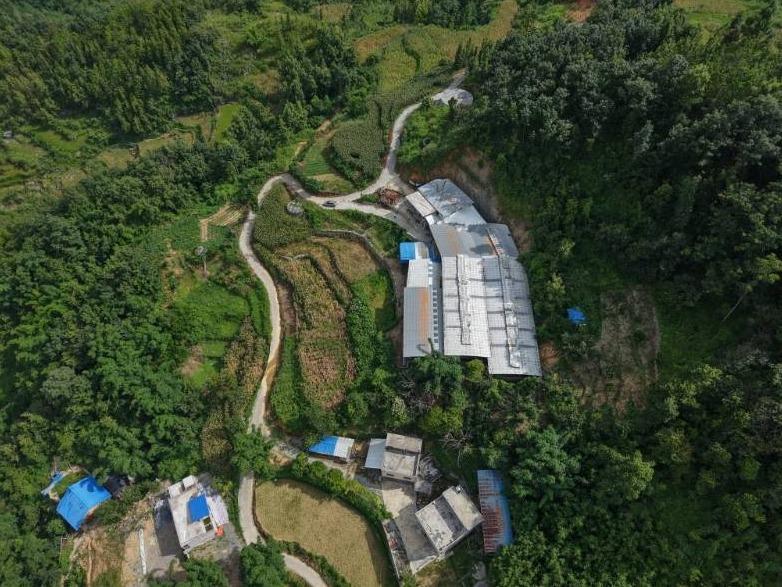 河池市天峨县八腊瑶族乡甘洞村长曹屯约1350平方米羊栏招租项目