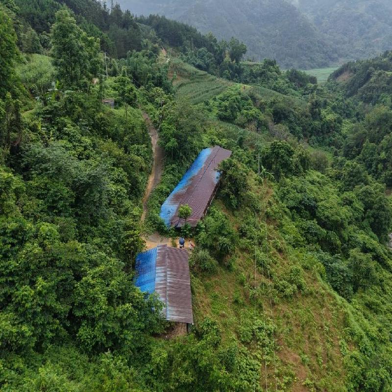 河池市东兰县隘洞镇坡拉村委会纳更屯约500平方米乌鸡养殖场招租项目