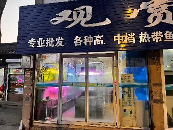 西长街园林管理处楼下1号门面房招租公告