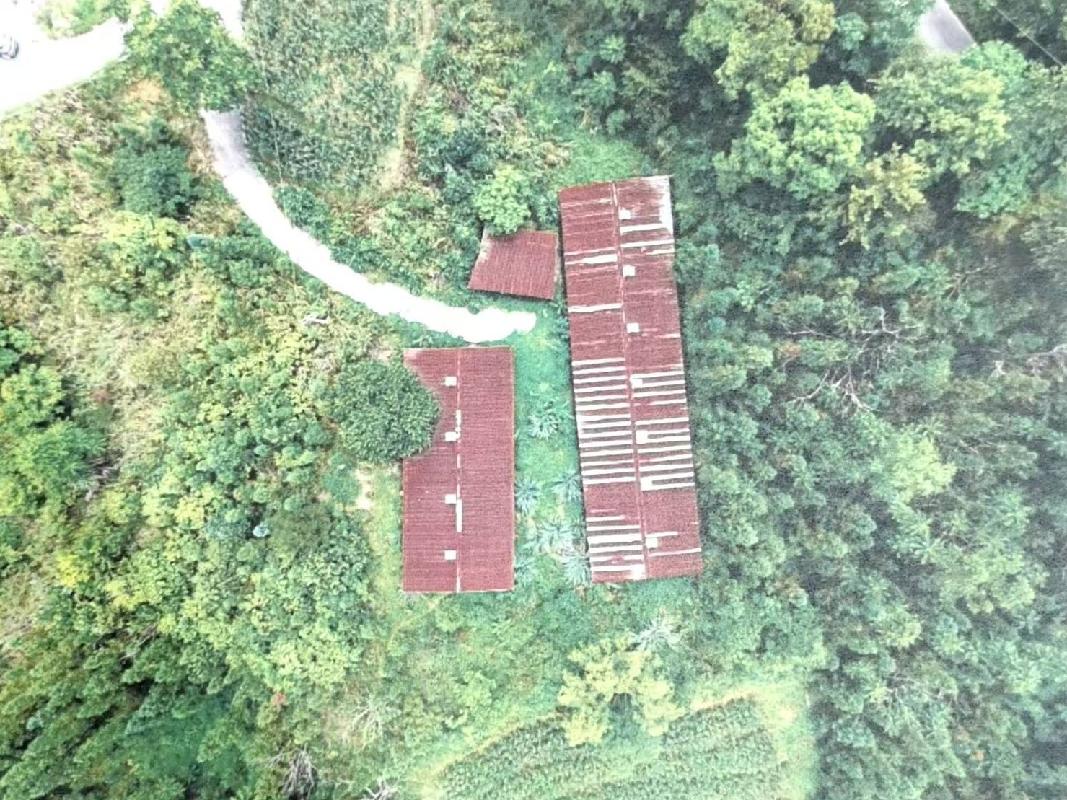 河池市东兰县隘洞镇坡拉村委会六牙屯坡宿约500平方米乌鸡养殖场招租项目