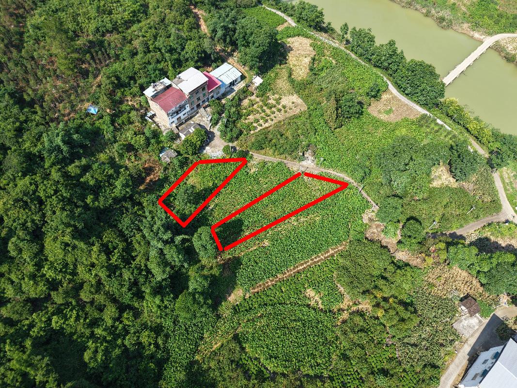 河池市环江毛南族自治县长美乡内同村约2亩土地经营权流转项目