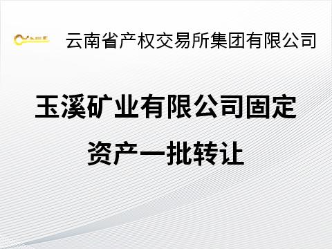 玉溪矿业有限公司固定资产一批转让