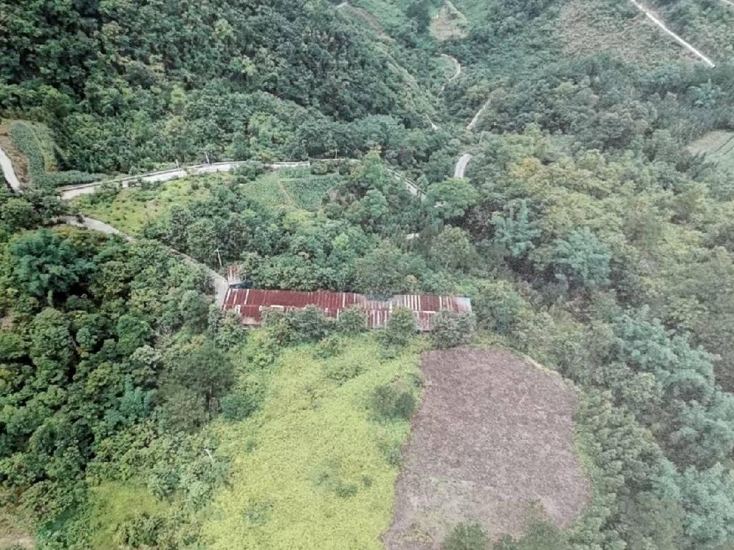 河池市东兰县隘洞镇坡拉村委会六牙屯工运约500平方米乌鸡养殖场招租项目