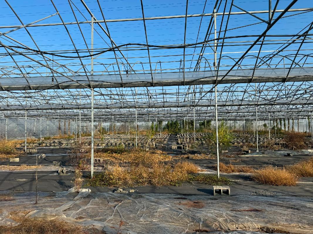 安徽同创现代农业投资发展有限公司废旧设施设备残值转让公告(国资监测编号GR2025AH2002684)