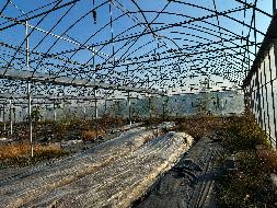 安徽同创现代农业投资发展有限公司废旧设施设备残值转让公告(国资监测编号GR2025AH2002684)