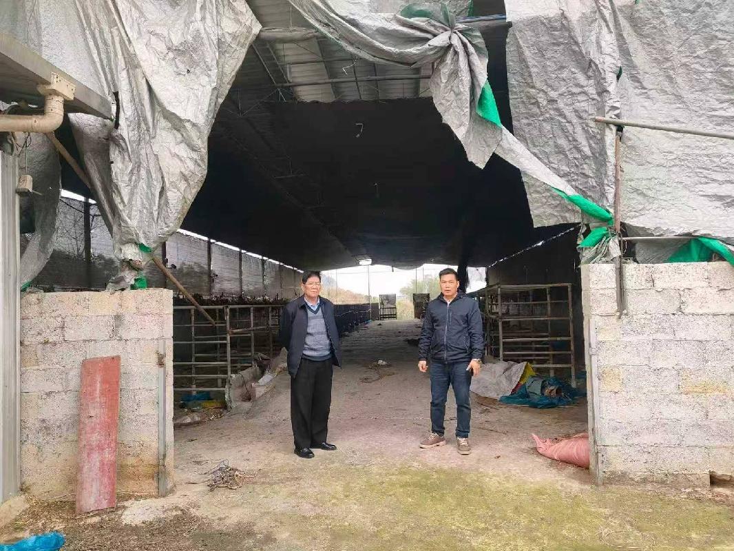 河池市大化瑶族自治县大化镇古感社区约632.14平方米养牛场地上附着物转让项目