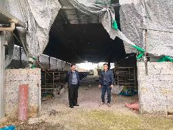 河池市大化瑶族自治县大化镇古感社区约632.14平方米养牛场地上附着物转让项目