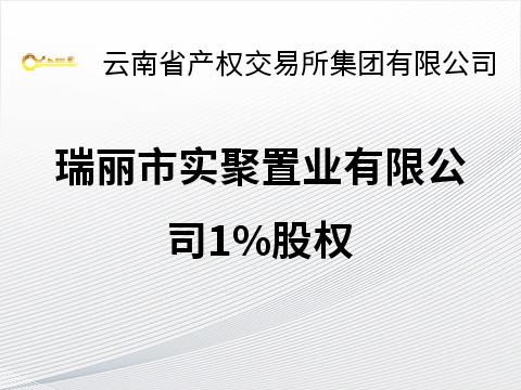 瑞丽市实聚置业有限公司1%股权(国资监测编号G32025YN1000059)