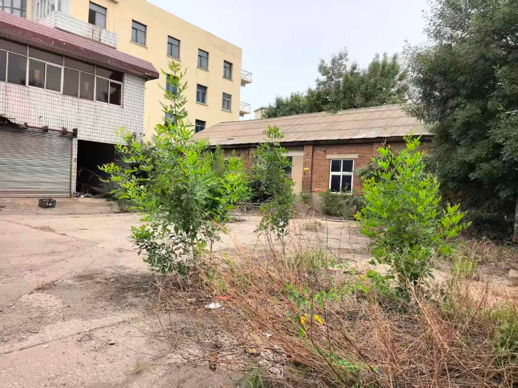 天津市塘沽区新港六米房产和土地整体再次转让
