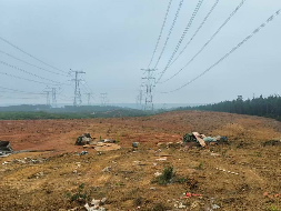 宣城市宣州区宛陵林场夏渡分场凤冲管护站326亩林地合作经营权转让公告（重新挂牌）(国资监测编号GR2025AH2003258)