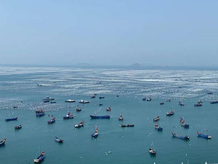 灌云县XX海域一宗海域使用权招租（测试）