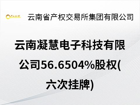 云南凝慧电子科技有限公司56.6504%股权(六次挂牌)
