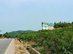 柳州市鹿寨县寨沙镇教化村2面广告牌广告经营权招租项目