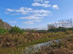 盐城市新洋港闸管理所位于盐城市新洋港闸闸北海堤迎水坡约240亩的土地公开招租(国资监测编号GR2025JS1006982)