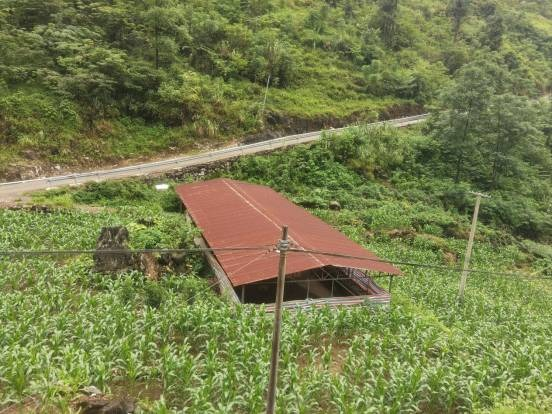 河池市都安瑶族自治县永安镇安业村加灾队约160平方米养殖场招租项目
